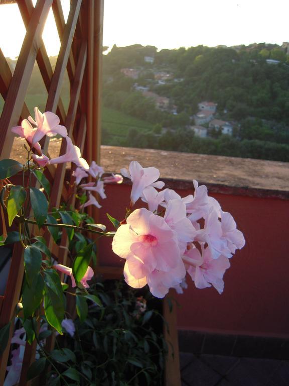 Casa Vacanze Palazzo Primoli Ariccia Exterior photo